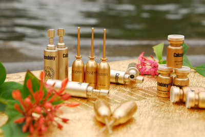 法國(guó)雨田國(guó)際(上海)雨淑緹化妝品招聘-雨淑緹|珈詩黛妮招聘-138job.com