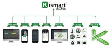 2018年上海市健身俱樂(lè)部數(shù)據(jù)報(bào)告 信息技術(shù)驅(qū)動(dòng)行業(yè)變革與未來(lái)展望